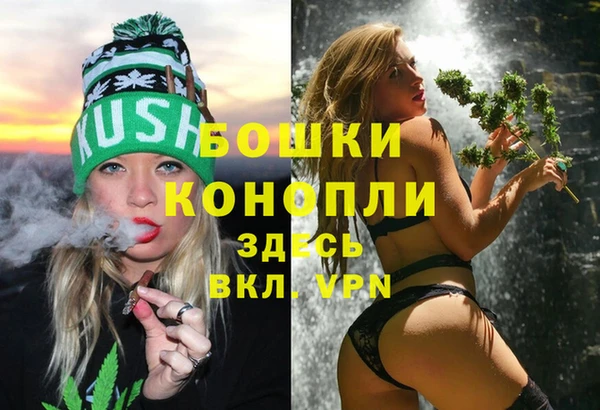 мет Бородино
