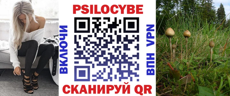 Галлюциногенные грибы MAGIC MUSHROOMS  где купить наркоту  Княгинино 